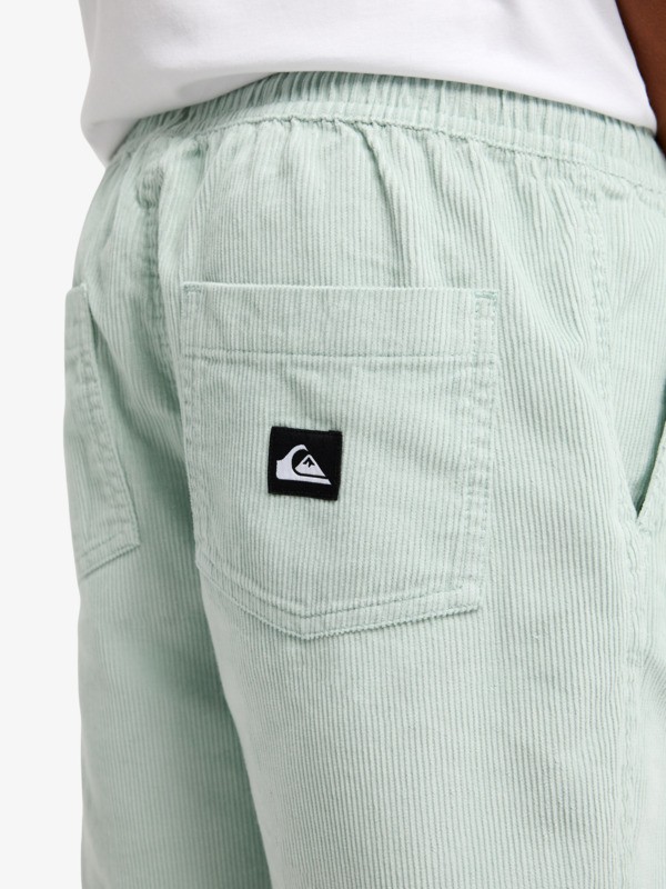 Taxer - Elastic Waist Walkshorts for Boys 8 - 16  EQBWS03371