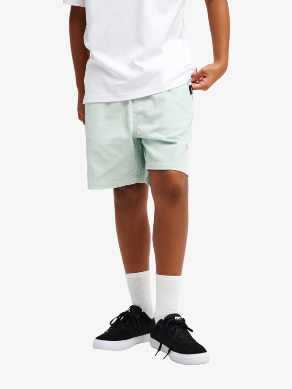 Taxer - Elastic Waist Walkshorts for Boys 8 - 16  EQBWS03371