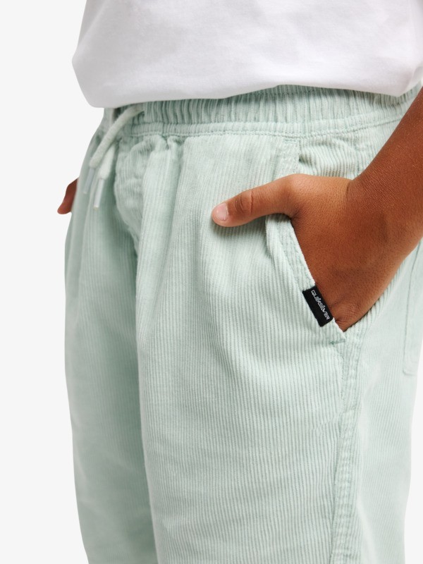 Taxer - Elastic Waist Walkshorts for Boys 8 - 16  EQBWS03371