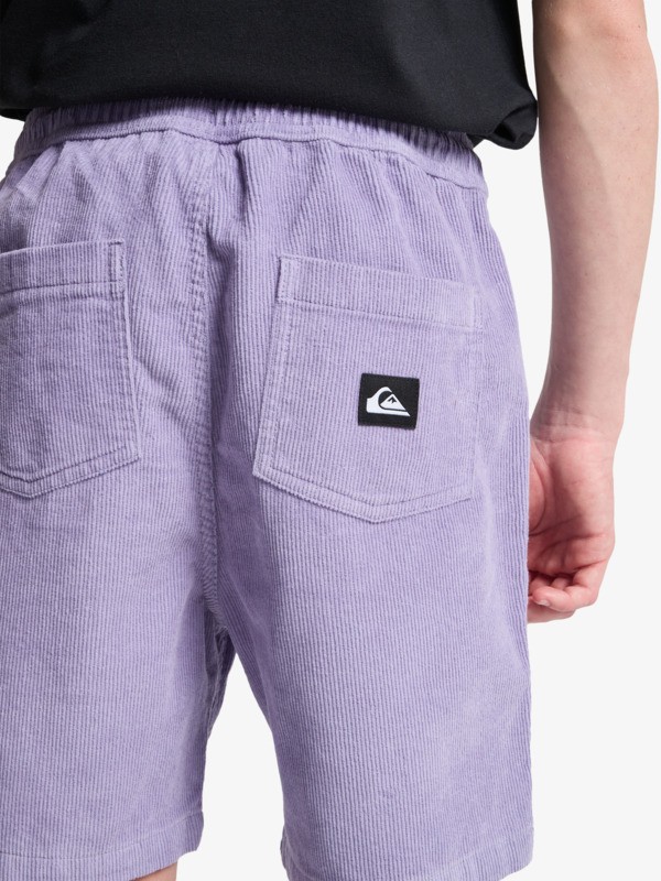 Taxer - Elastic Waist Walkshorts for Boys 8 - 16  EQBWS03371