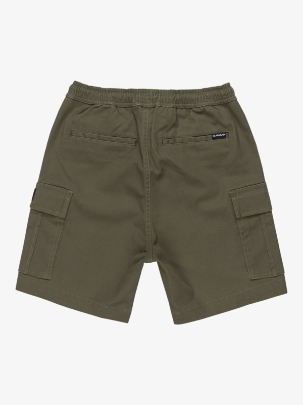 Taxer - Cargo Walkshorts for Boys 8 - 16  EQBWS03372