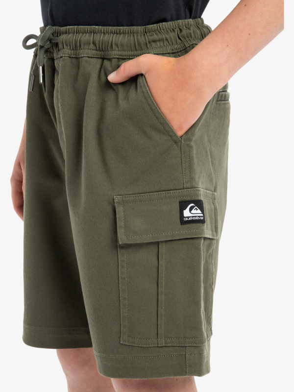 Taxer - Cargo Walkshorts for Boys 8 - 16  EQBWS03372