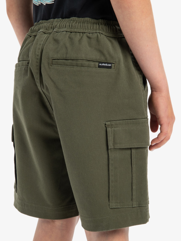 Taxer - Cargo Walkshorts for Boys 8 - 16  EQBWS03372