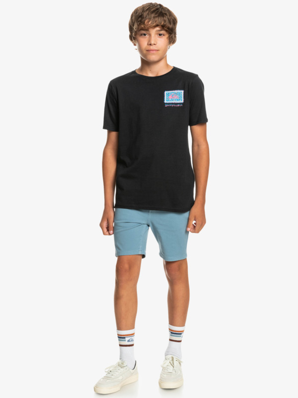 Radical Roots - Short Sleeve T-Shirt for Boys 8-16  EQBZT04427