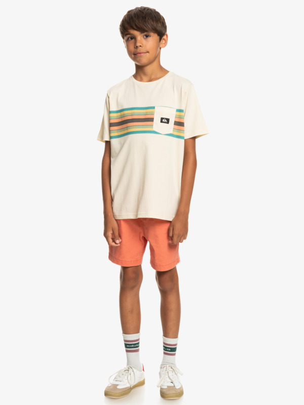 Surfadelica Stripe - Pocket T-Shirt for Boys 8-16  EQBZT04608