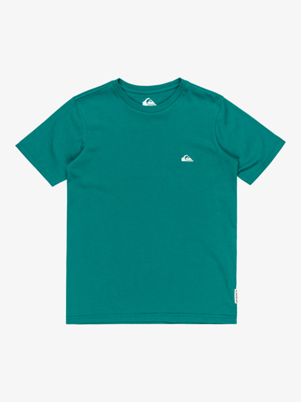 Basic - T-Shirt for Boys 8-16  EQBZT04746