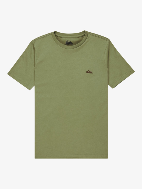 Basic - Short Sleeve T-Shirt for Boys 8-16  EQBZT04746