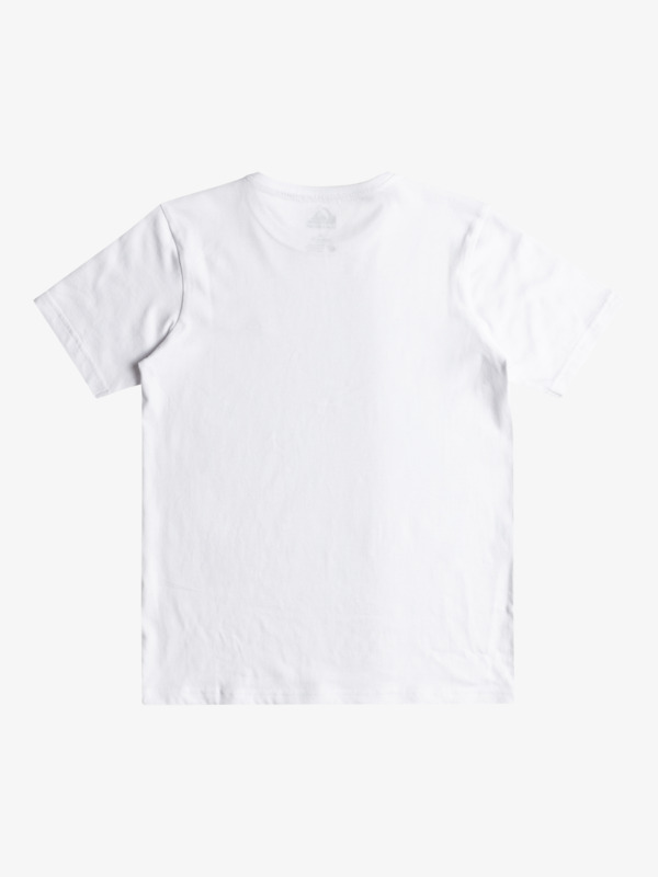 Basic - Short Sleeve T-Shirt for Boys 8-16  EQBZT04746