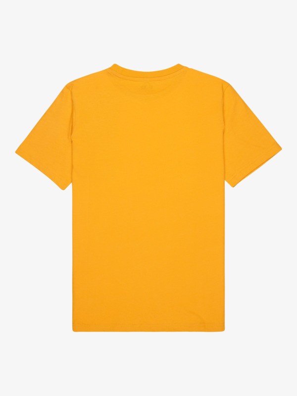 Basic - Short Sleeve T-Shirt for Boys 8-16  EQBZT04746