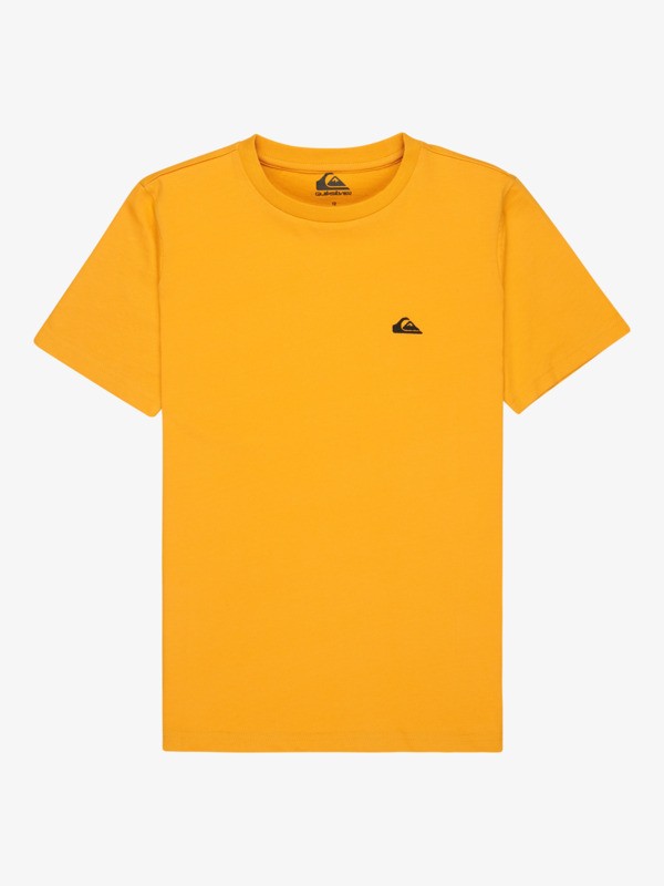 Basic - Short Sleeve T-Shirt for Boys 8-16  EQBZT04746