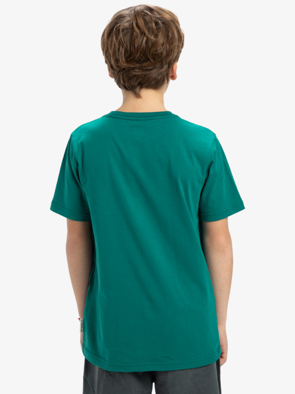 Basic - T-Shirt for Boys 8-16  EQBZT04746