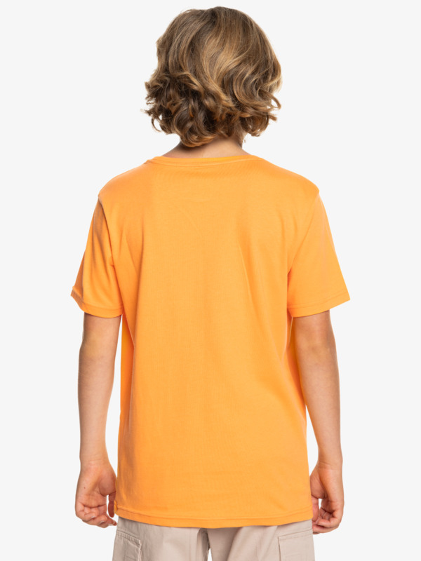 Basic - Short Sleeve T-Shirt for Boys 8-16  EQBZT04746