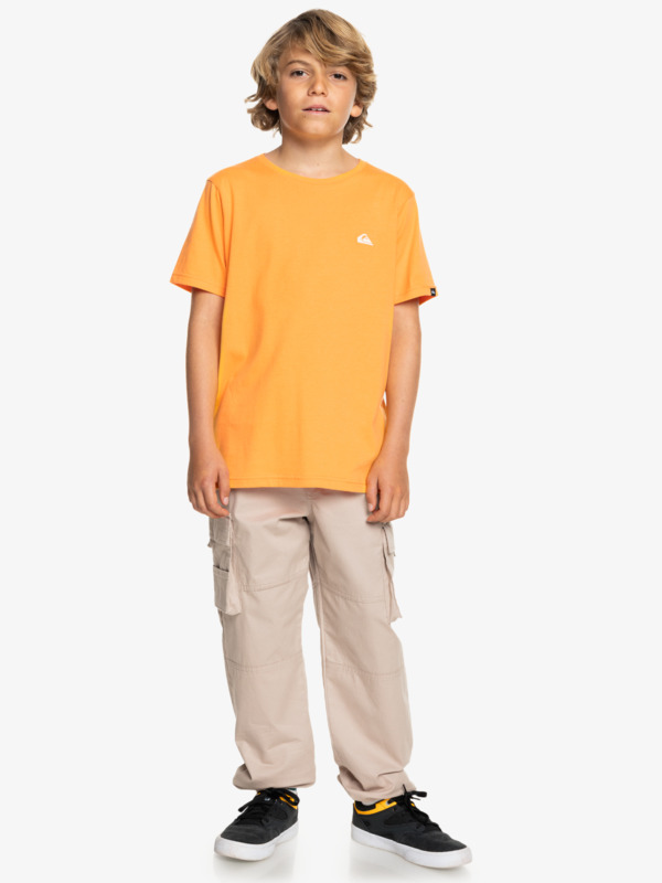 Basic - T-Shirt for Boys 8-16  EQBZT04746