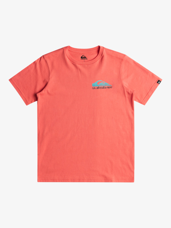 Omni Wave - Short Sleeves T-shirt for Boys 8 - 16  EQBZT04785