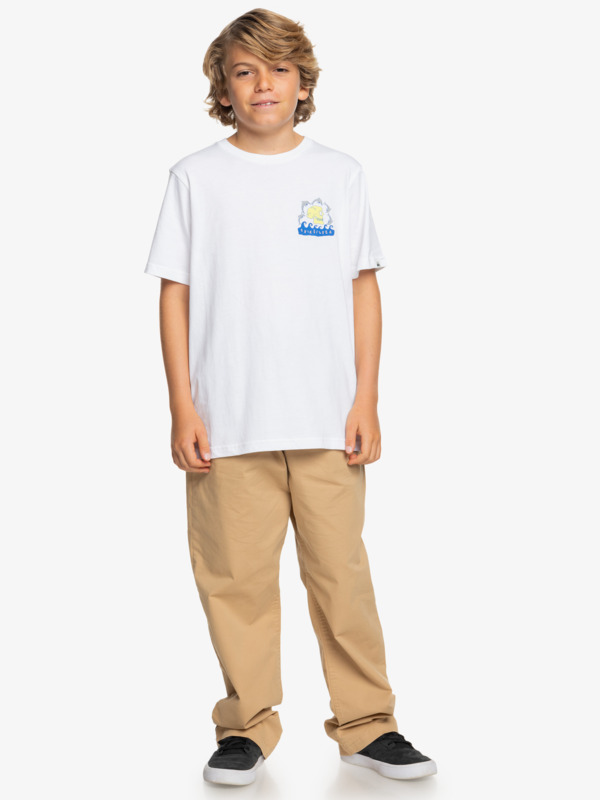 Porpoises - Short Sleeves T-shirt for Boys 8 - 16  EQBZT04788