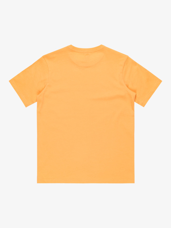 Ev Sun Faded - Short Sleeves T-Shirt for Boys 8 - 16  EQBZT04845