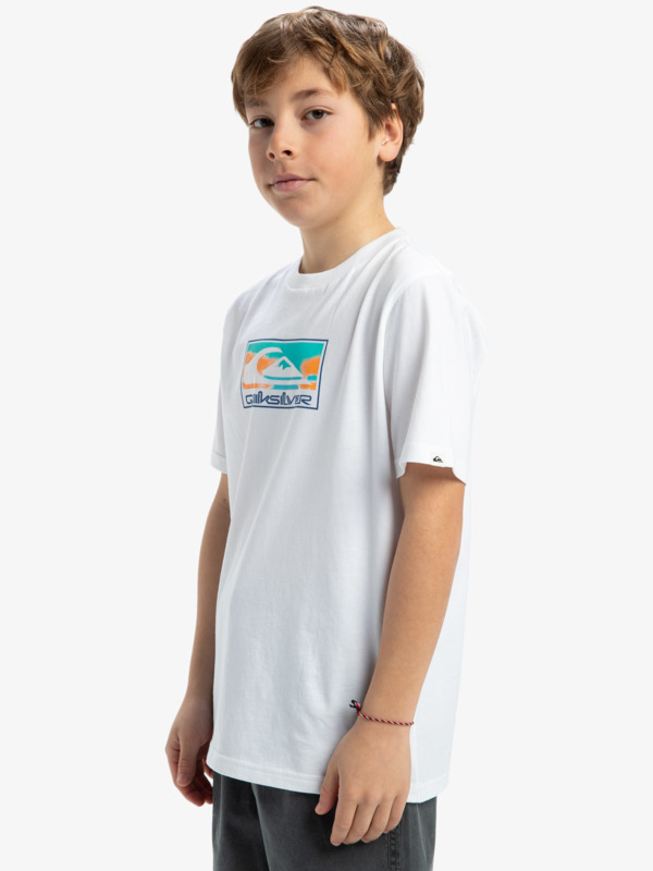 Ev Gradient Box - Short Sleeves T-Shirt for Boys 8 - 16  EQBZT04848