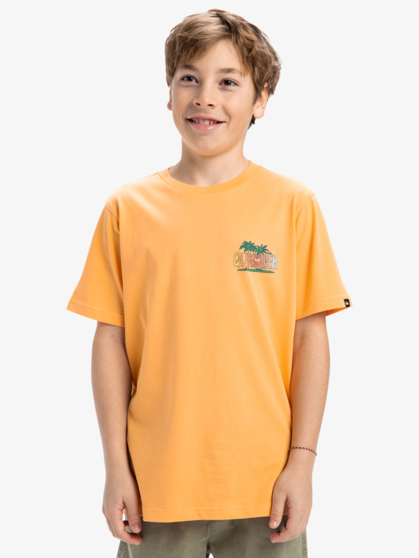 Ev Sunny Palms - Short Sleeves T-Shirt for Boys 8 - 16  EQBZT04855