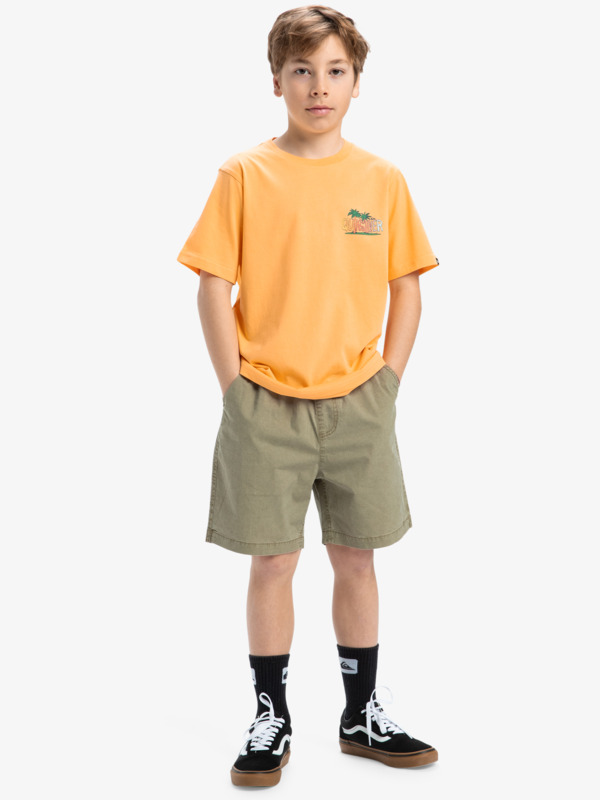 Ev Sunny Palms - Short Sleeves T-Shirt for Boys 8 - 16  EQBZT04855