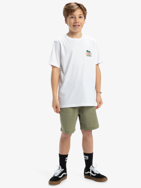 Ev Sunny Palms - Short Sleeves T-Shirt for Boys 8 - 16  EQBZT04855