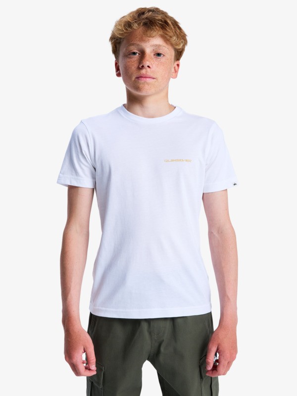 Ev Desert Waves - Short Sleeve T-Shirt for Boys 8-16  EQBZT04898
