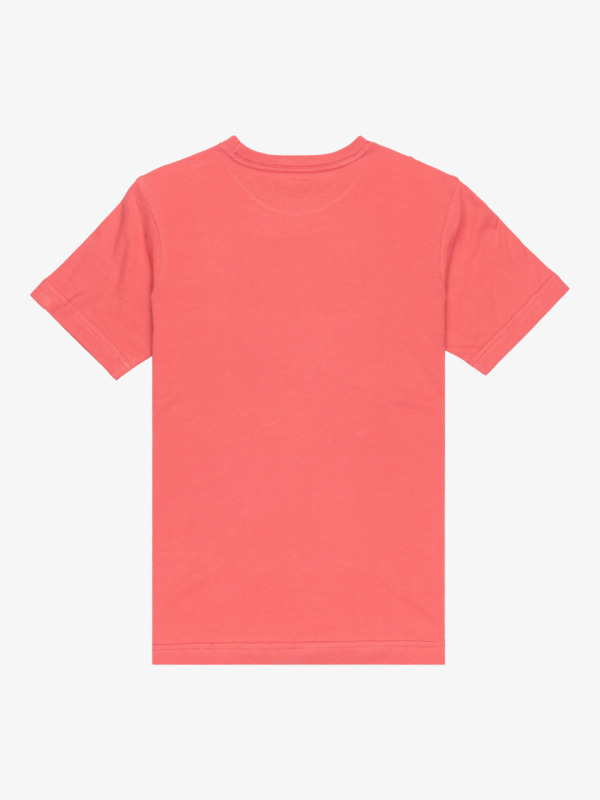 Ev Stay Palm - Short Sleeve T-Shirt for Boys 8-16  EQBZT04903