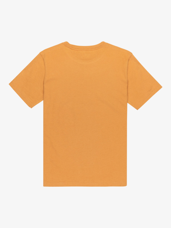 Ev Light Waves - Short Sleeve T-Shirt for Boys 8-16  EQBZT04907