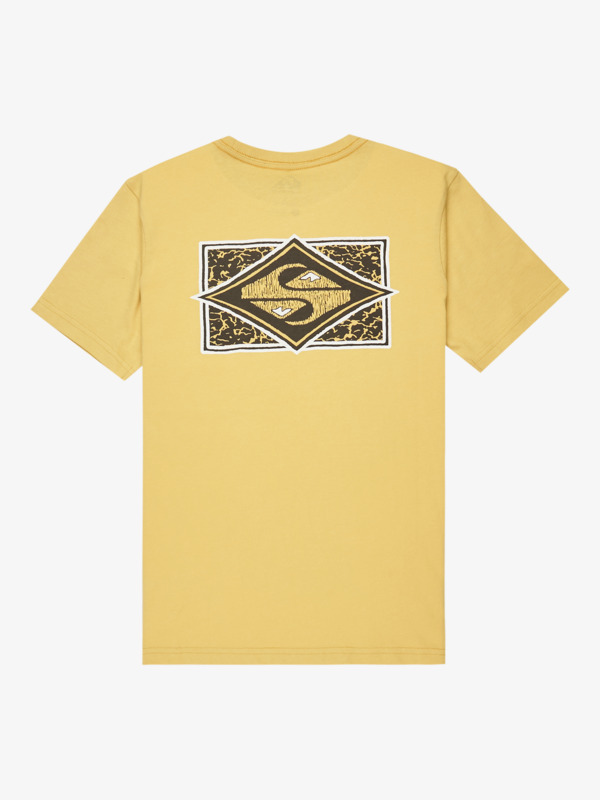Evo Crisis - Short Sleeve T-Shirt for Boys 8-16  EQBZT04909