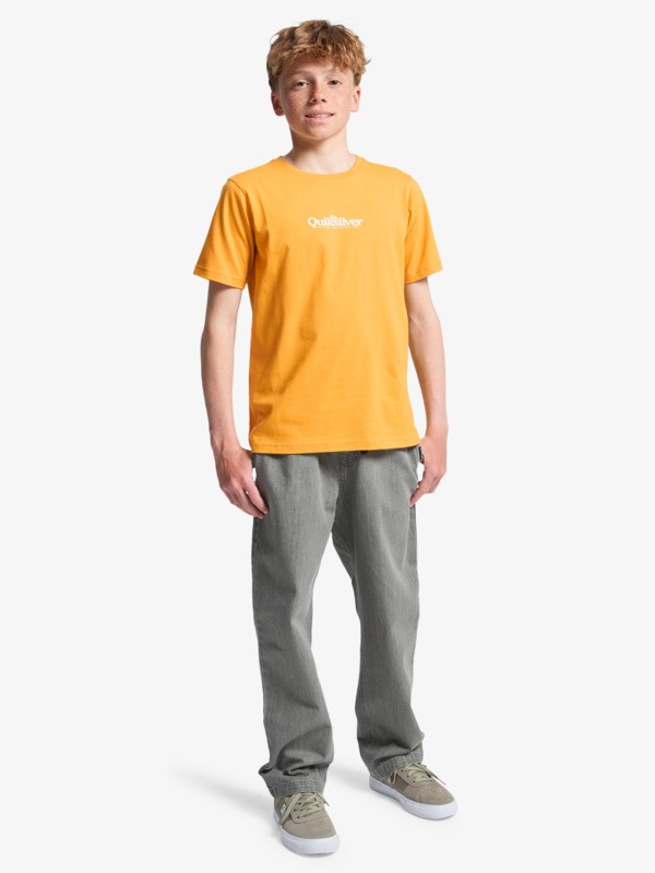 Fineline - Short Sleeve T-Shirt for Boys 8-16  EQBZT04955