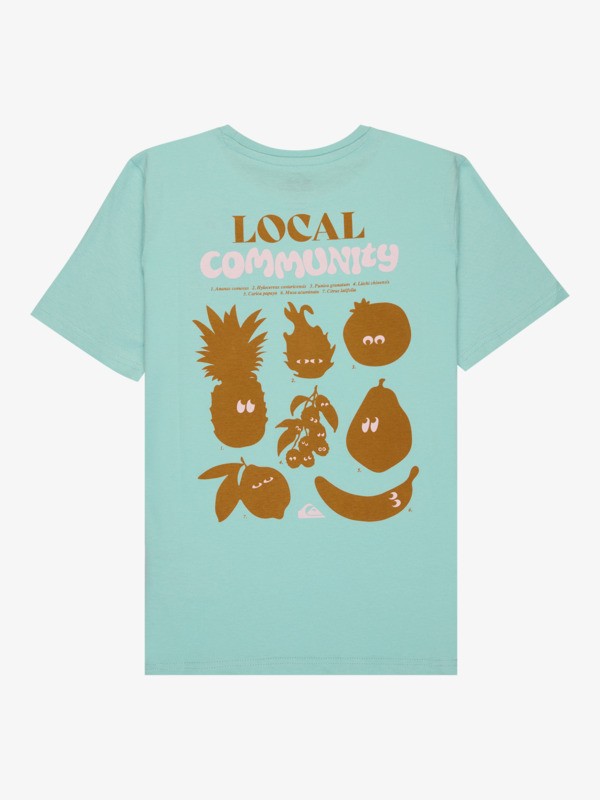 Fruits Tide - Short Sleeve T-Shirt for Boys 8-16  EQBZT04963