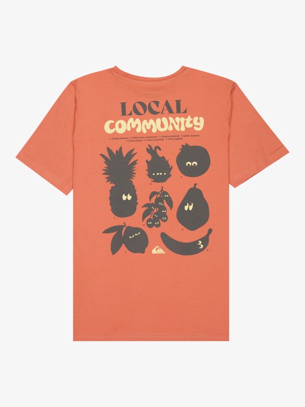 Fruits Tide - Short Sleeve T-Shirt for Boys 8-16  EQBZT04963