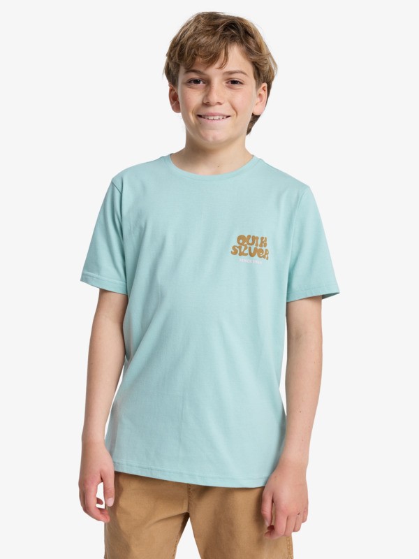 Fruits Tide - Short Sleeve T-Shirt for Boys 8-16  EQBZT04963