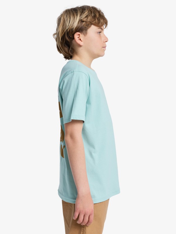 Fruits Tide - Short Sleeve T-Shirt for Boys 8-16  EQBZT04963