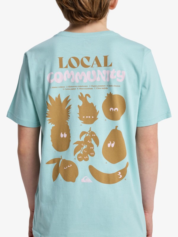 Fruits Tide - Short Sleeve T-Shirt for Boys 8-16  EQBZT04963