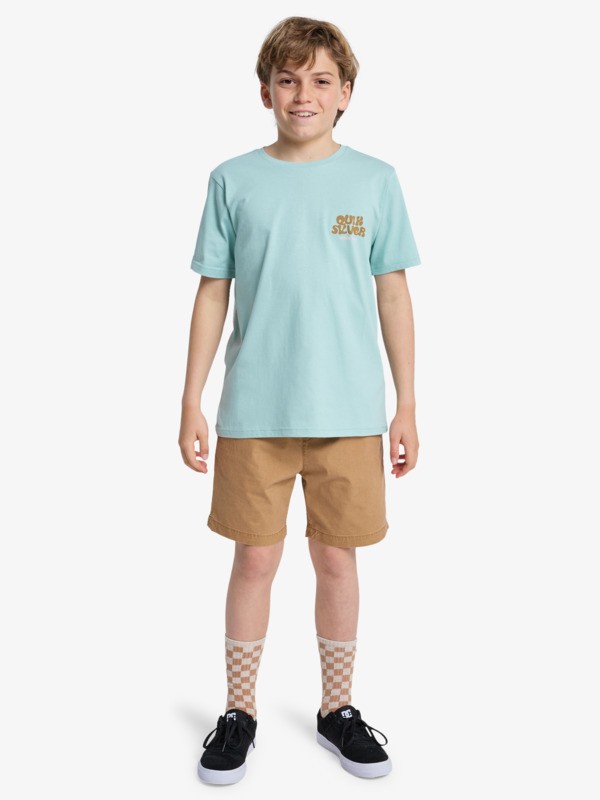 Fruits Tide - Short Sleeve T-Shirt for Boys 8-16  EQBZT04963