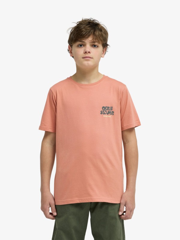 Fruits Tide - Short Sleeve T-Shirt for Boys 8-16  EQBZT04963