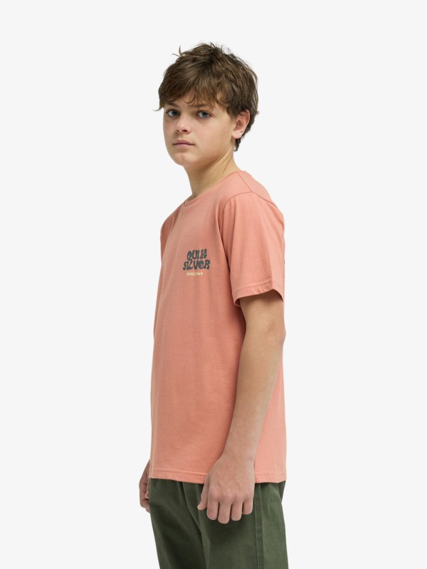 Fruits Tide - Short Sleeve T-Shirt for Boys 8-16  EQBZT04963