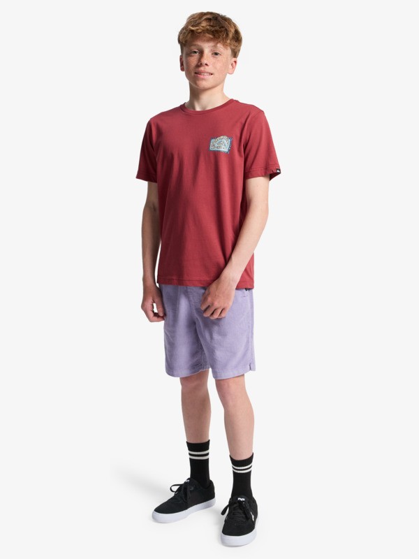 Heritage - Short Sleeve T-Shirt for Boys 8-16  EQBZT04968