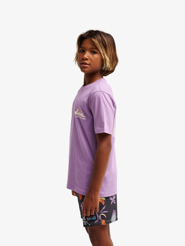 One Piece Merry - Short Sleeve T-Shirt for Boys 8-16  EQBZT05044