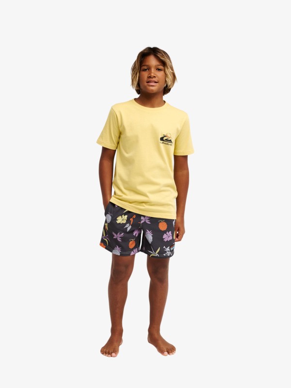 One Piece Merry - Short Sleeve T-Shirt for Boys 8-16  EQBZT05044