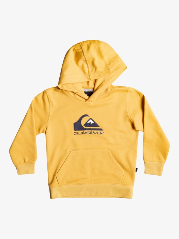 Big Logo - Hoodie for Boys 2-7  EQKFT03351