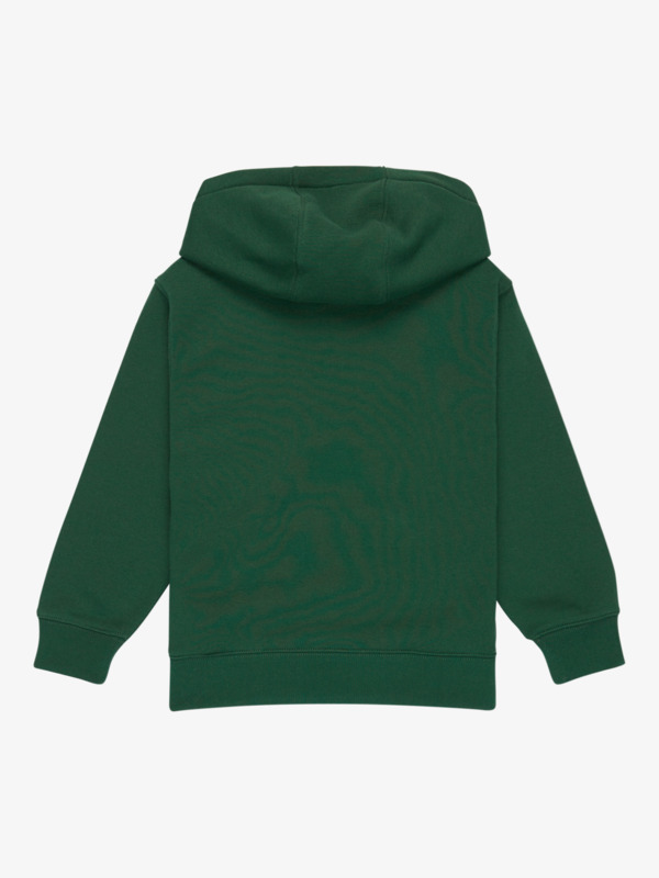 Graphics - Hoodie for Boys  EQKFT03406