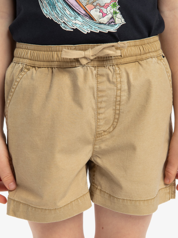 Taxer Boy 15" - Elastic Waist Walkshorts for Boys 2 - 7  EQKWS03219