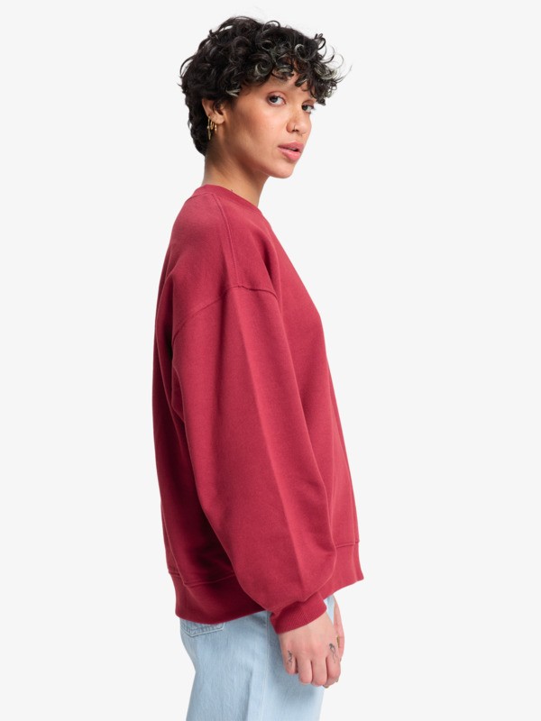 Standard - Crew Neck for Women  EQWFT03188