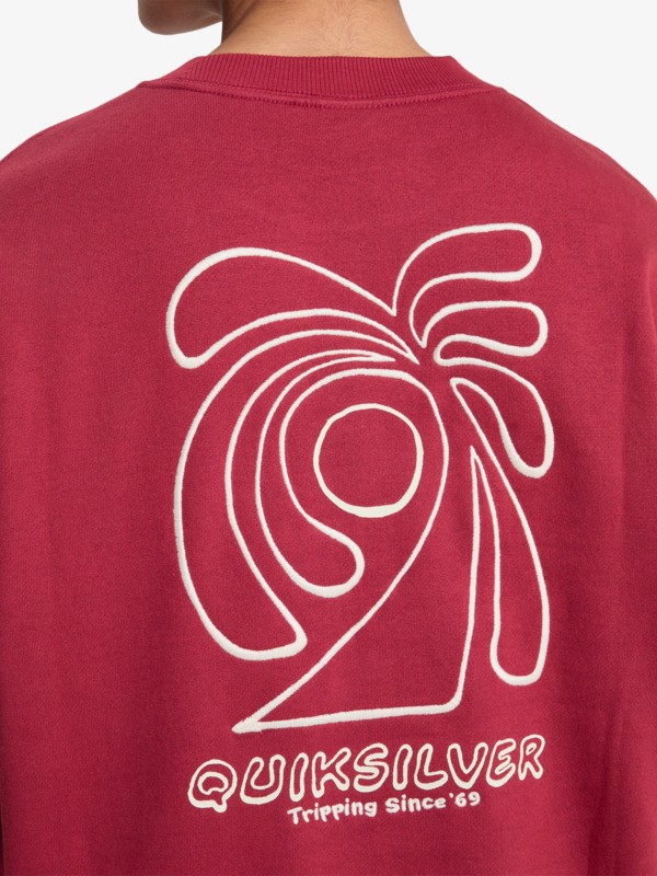 Standard - Crew Neck for Women  EQWFT03188