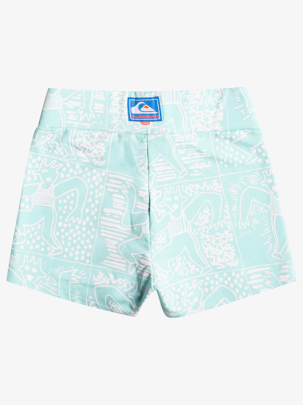 Quiksilver x Stranger Things Lenora - Mini Bike Shorts for Women  EQWNS03082