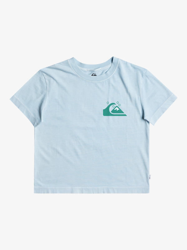 Quiksilver Womens - Organic T-Shirt for Women  EQWZT03025