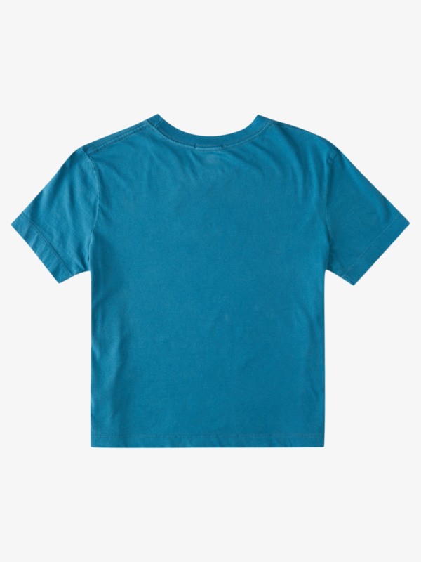 Quiksilver Womens - Organic T-Shirt for Women  EQWZT03025