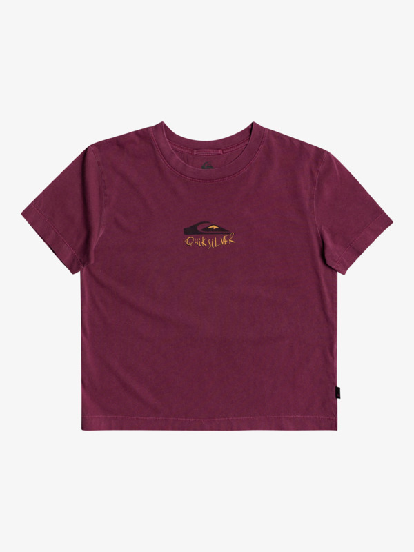 Quiksilver Womens - Organic T-Shirt for Women  EQWZT03025