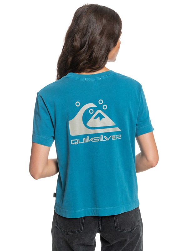 Quiksilver Womens - Organic T-Shirt for Women  EQWZT03025